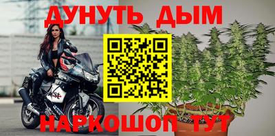 крисы Краснодар