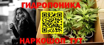 крисы Краснодар