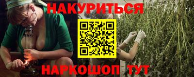 крисы Краснодар