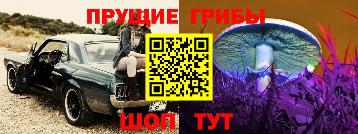  COCAIN Коммунар