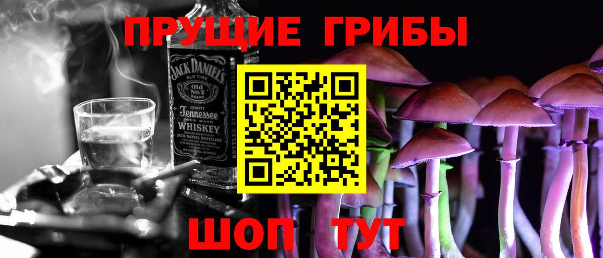 Псилоцибиновые грибы GOLDEN TEACHER Коммунар